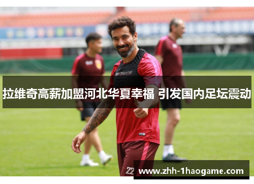 拉维奇高薪加盟河北华夏幸福 引发国内足坛震动 拉维奇高薪加盟河北华夏幸福 引发国内足坛震动